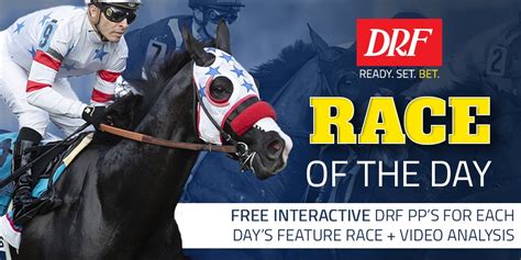 drf race of day|horse race of the day.